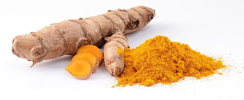 Curcuma (Curcuma longa) — planta medicinal